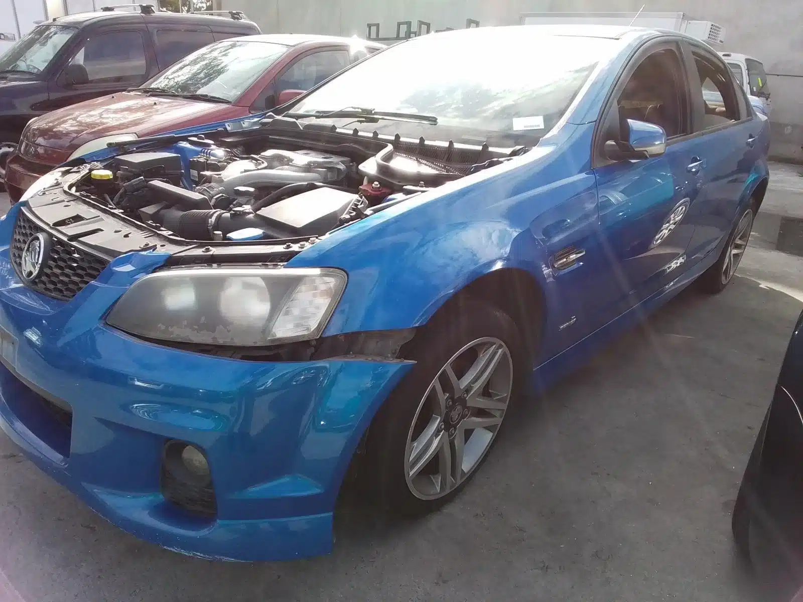 holden commodore